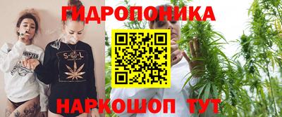 шишки Баксан