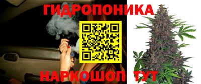 шишки Баксан